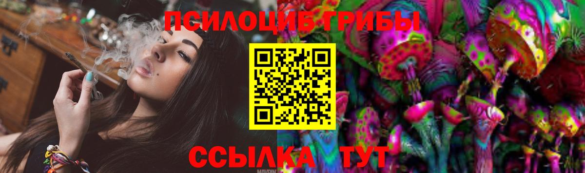 Вязьма  Галлюциногенные грибы Psilocybine cubensis  Галлюциногенные грибы Cubensis  Вход с VPN 